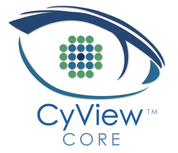 Cyber Security Cyview Core