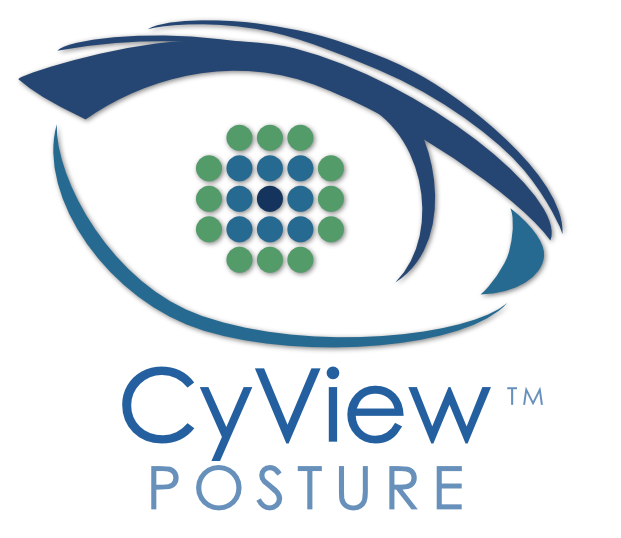 Information Security Cyview Posture