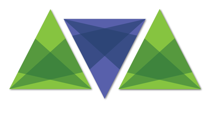 Cambrian Cyber Consulting